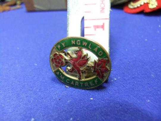 WI womens institute wales welsh for home and country ww2 badge