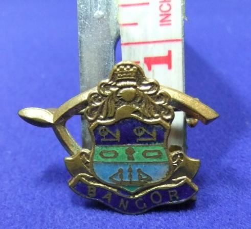 Wishbone Bangor coat of arms badge brooch souvenir
