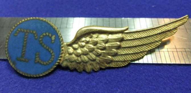 WW2 badge Air Force Dutch Naval TS radio wireless gunner brevet netherlands navy