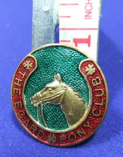 Equine Horses the edgard pony club badge