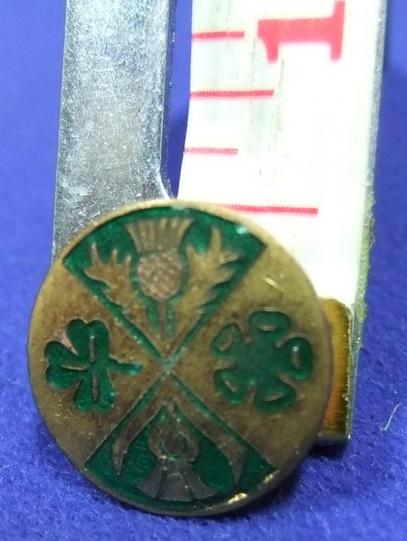 National Federation Womens Clubs badge business professional britain & ireland