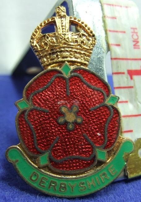 Girl guides Derbyshire County badge Kings Crown