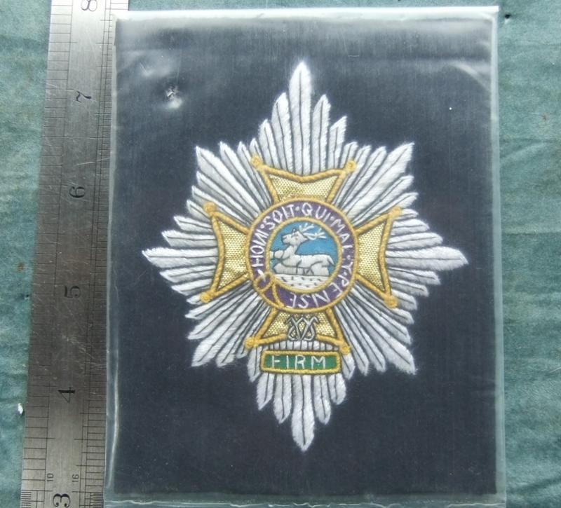 Worcestershire and Sherwood Foresters Blazer Badge