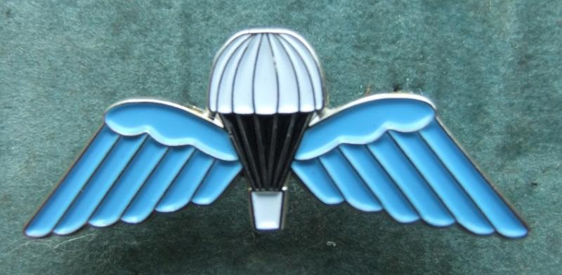 Parachute Regiment Paras Pin Badge